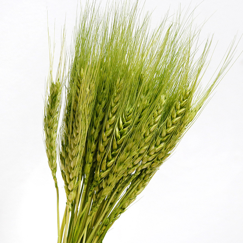 grass green