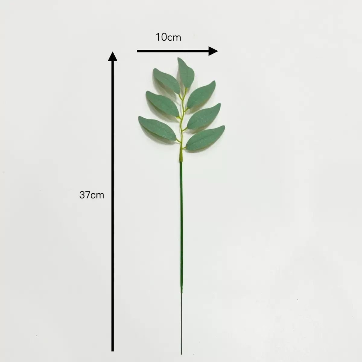 Saule à une seule branche de 37 cm