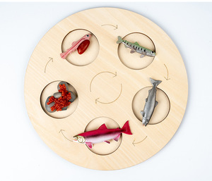 Toddler Wooden Animal and Plant Life Cycle Baby Experiment Insect Animal and Plant Model Puzzle Enlightenment <strong>Toy</strong> - Product Image 6