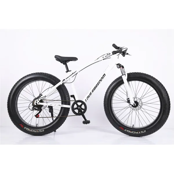 중국 제조 뚱뚱한 자전거 바퀴 20 인치 성인용 모노 타이어 자전거