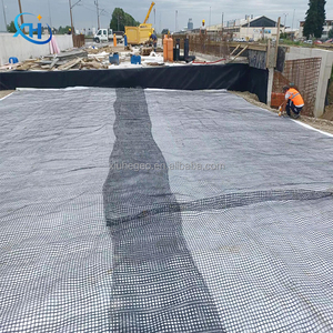 ידידותי לסביבה דו-כיווני פלסטיק geogrid קיימא עבור פרויקטים ירוקים בינלאומיים pp baxial geogrid