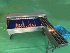 Selezionatrice commerciale di classificazione dell'uovo del selezionatore di dimensione dell'uovo con il selezionatore dell'uovo dell'anatra del sollevatore dell'uovo/selezionatrice del peso/macchina livellatrice dell'uovo - Product Image 5