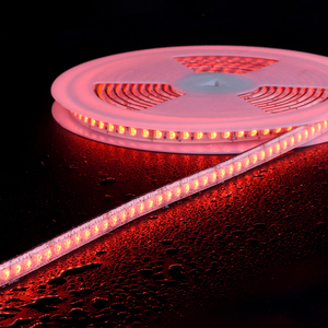 Led灯带应用或遥控5050 RGBIC RGBW 24v智能条形灯/led灯带/Led灯带客厅 - Product Image 3