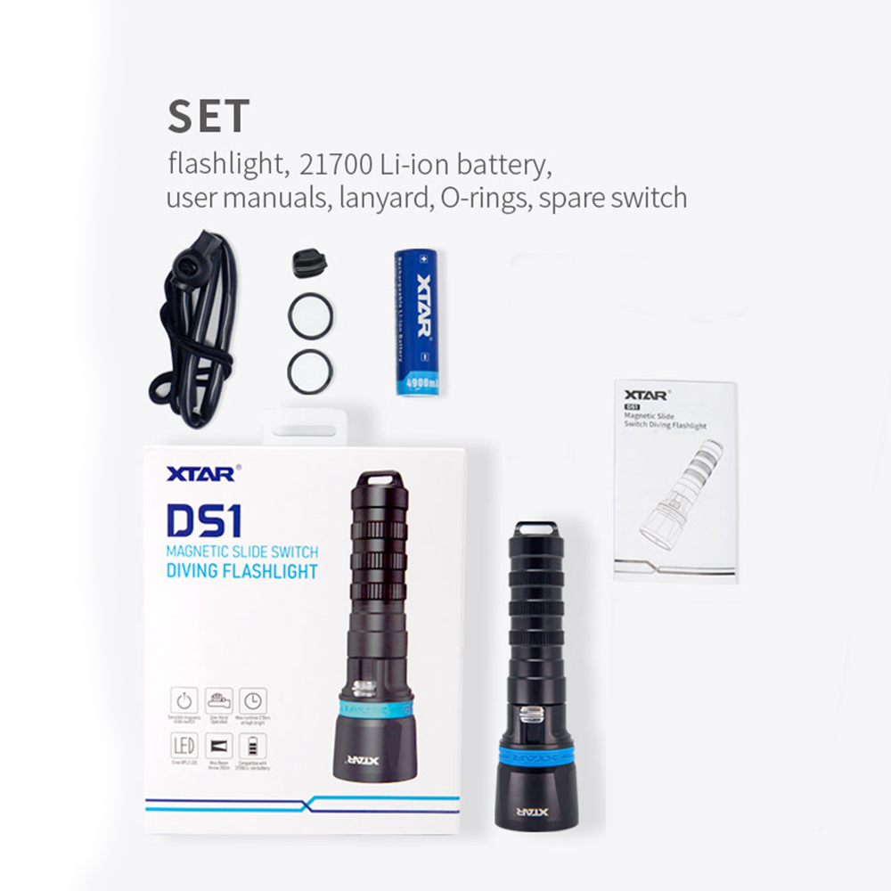 DS1+21700 noir