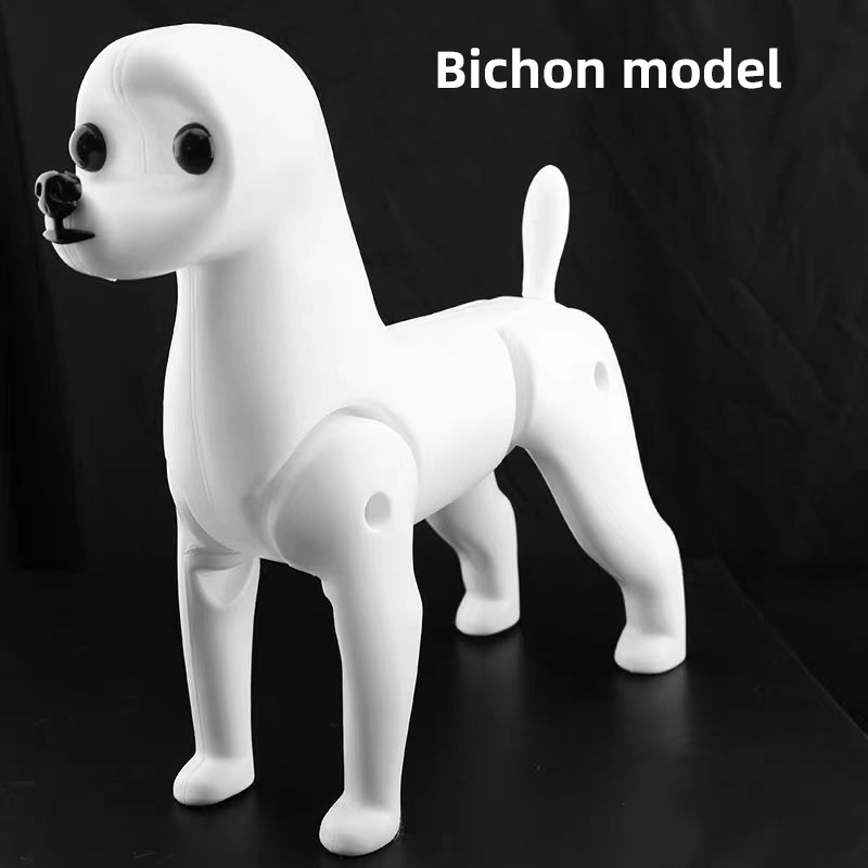 Squelette de bichon frisé