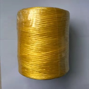 100% 聚丙烯价格便宜强力打包机麻线聚丙烯拉菲草 - Product Image 6