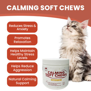 Sédatif à mâcher pour animaux de compagnie d'origine d'usine pour chats et chiens-Soulagement du stress et de l'anxiété du sommeil - Product Image 3