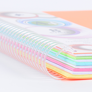 Оптовая продажа, специальная цена, A4, большой размер, разноцветные, подходящие по цвету профессиональные французские линии, внутренние страницы, спиральный блокнот - Product Image 4