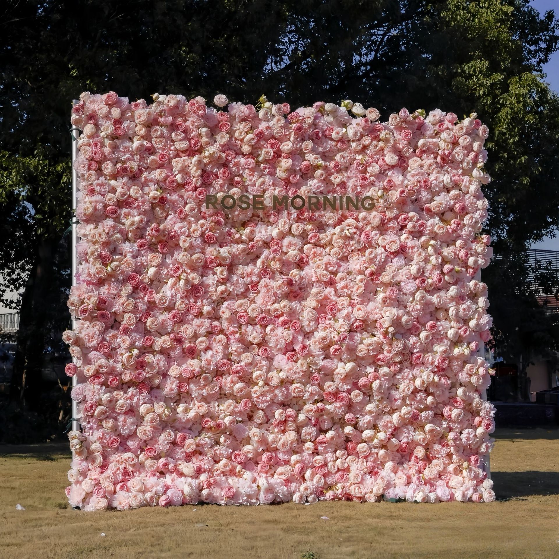 Rosa