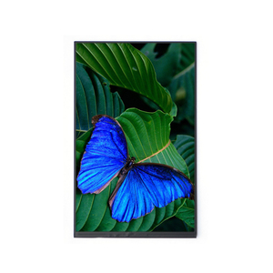 10,1-Zoll-TFT-MIPI-DSI-Schnittstellen-LCD-Display 10-Zoll-TFT-IPS-Panel mit einer Auflösung von 800*1280 - Product Image 1