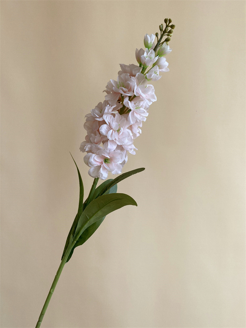 80cm rose clair