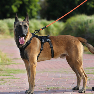 Truelove New Arrival Fashion Escape Proof No Pull Hunde geschirr Hochwertiges Para Perro Reflektieren des Nylon-Hunde geschirr für den Außenbereich - Product Image 6