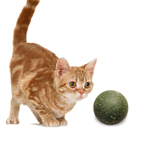 Juguetes de hierba gatera para mascotas Bola de hierba gatera comestible Seguridad Gato saludable Menta Juego de persecución en casa Productos de juguete Limpiar los dientes El estómago Menta - Product Image 4