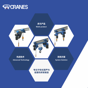 Cá Mập Thương Hiệu Châu Âu điện chuỗi Palăng Palăng Xích được sử dụng trong các ngành công nghiệp, nhà máy, và nhiều hơn nữa. - Product Image 3