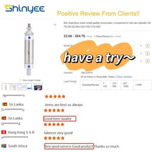 SHINYEE MA Series Single Acting Compact <strong>Pneumatic</strong> <strong>Cylinders</strong> Mini <strong>Pneumatic</strong> <strong>Cylinder</strong> Bore Size 10mm-300mm