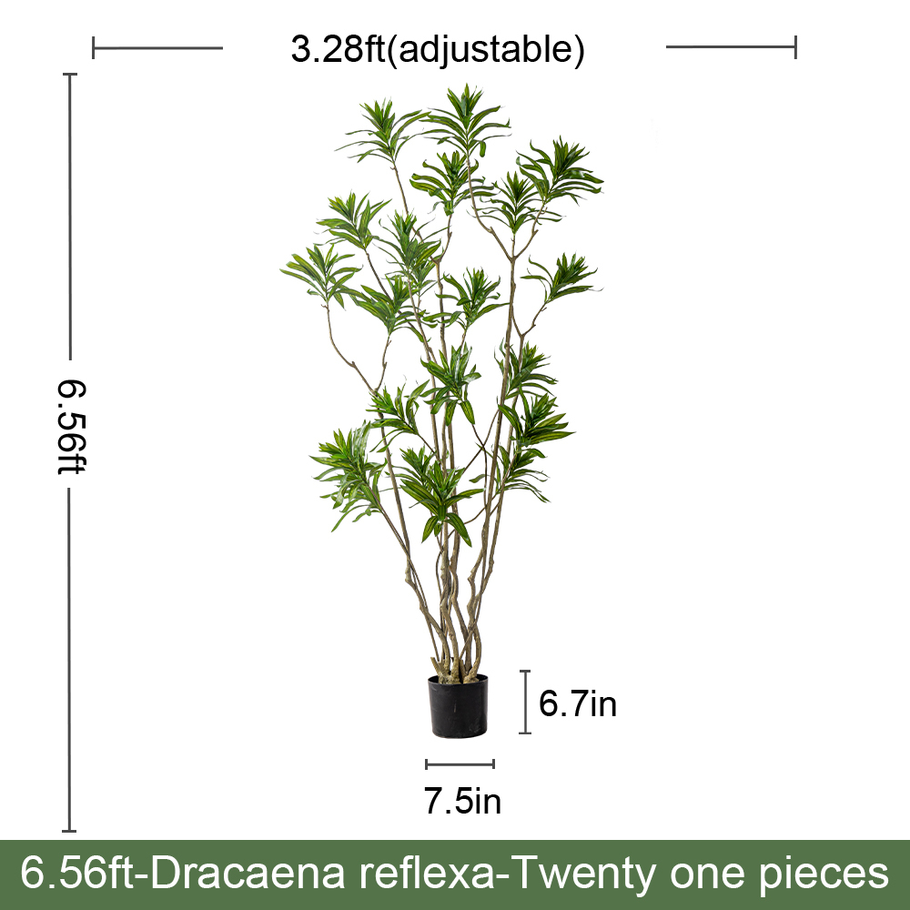 6.6ft/200cm