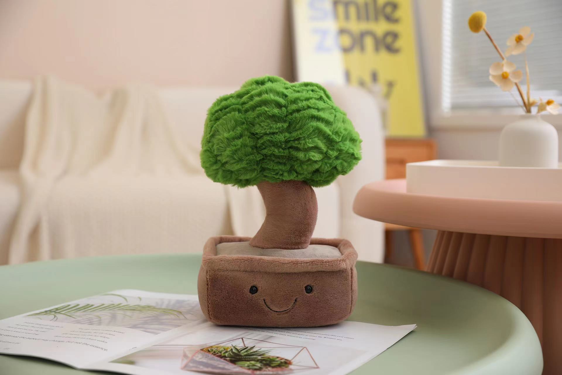 Tender green of the money tree-25 cm-014 kg