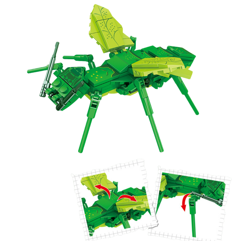 80056-4 Oruga de bambú