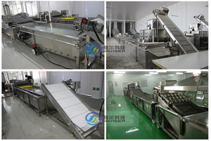 自动连续果蔬气泡清洗机分选机蔬菜加工机 - Product Image 5