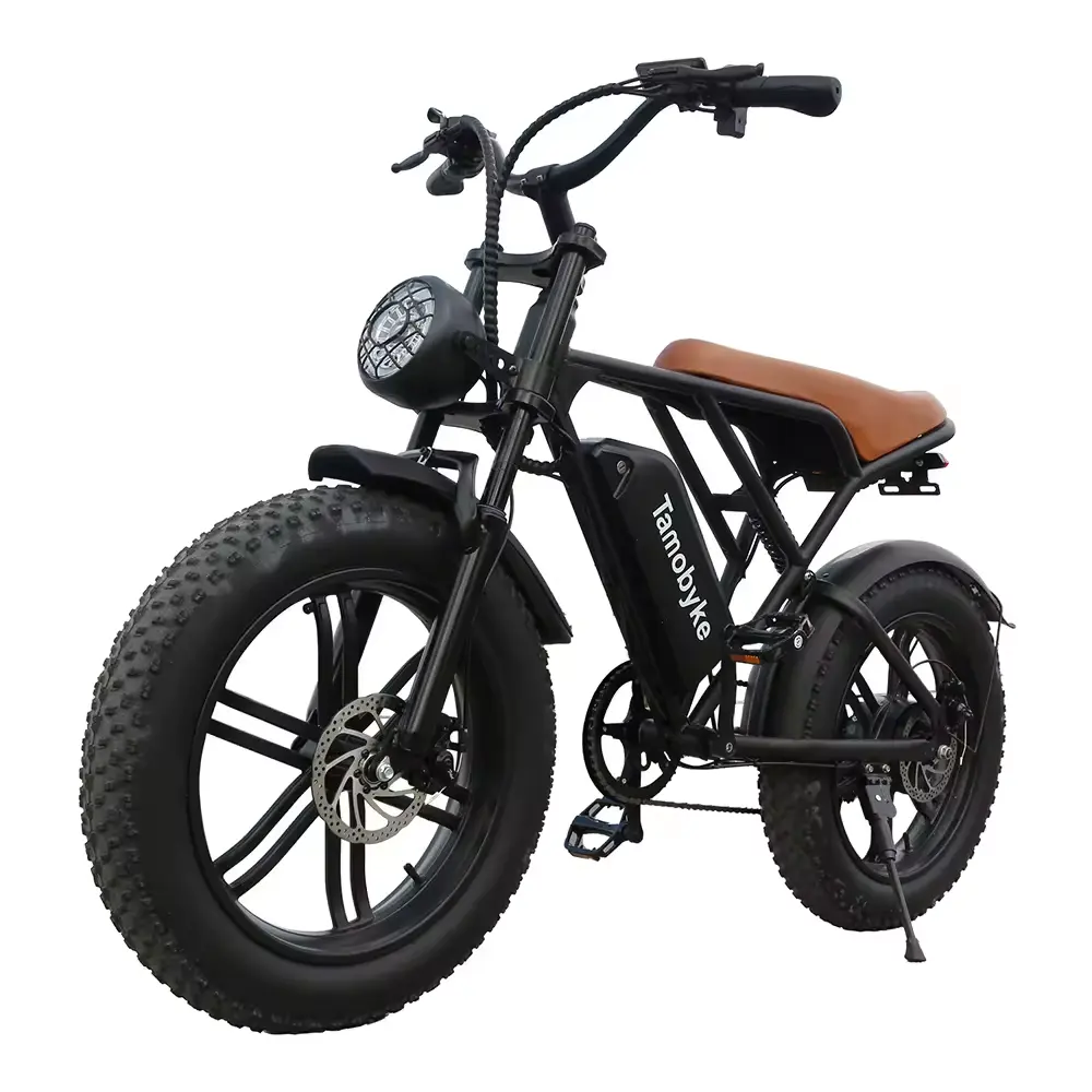 2024 New Hot Sell Custom 750w Electric Bike Road Electric Hybrid Bike Adult Off Road Electric Bike
