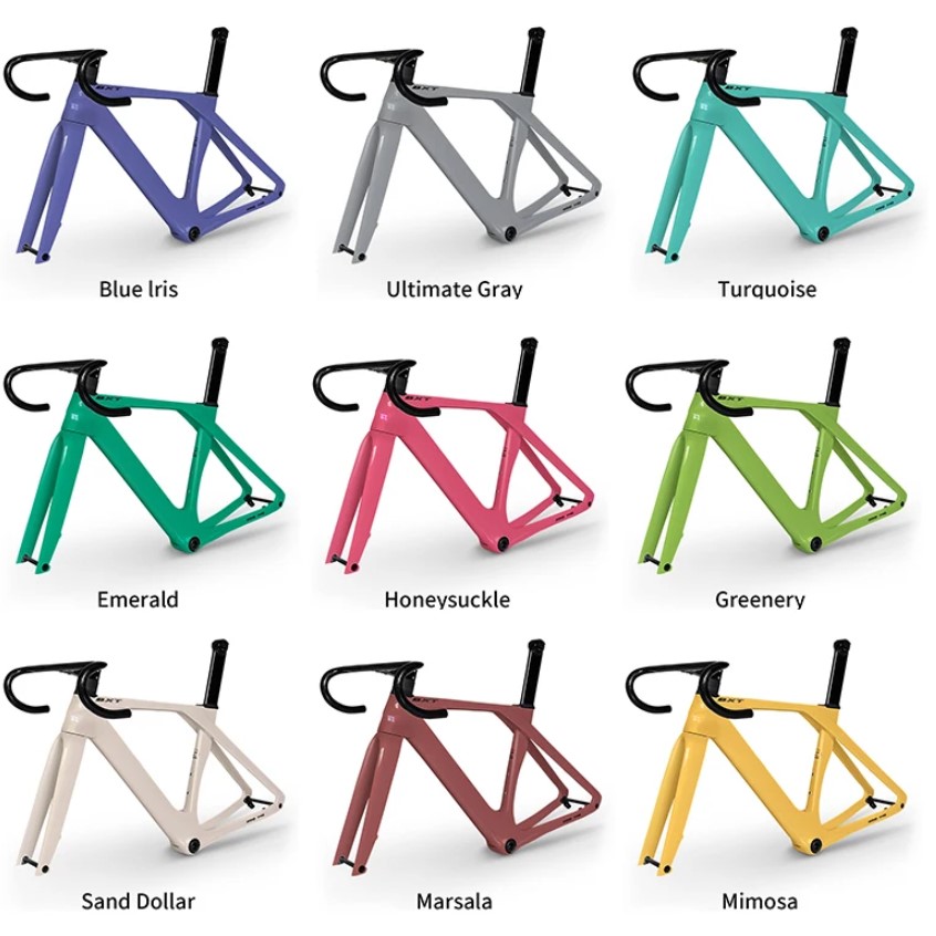 Pantone Multicolore - Shimano 105 R7120 2x12S