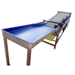 Macchina automatica per la classificazione di frutta e verdura arancio ciliegia datteri smistatrice di dimensioni tomatiche - Product Image 2