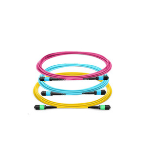 สายแพทช์ใยแก้วนำแสง Mpo (F) ถึง MPO (F) 12F LSZH 3.0เมตรสูญเสียน้ำหนักต่ำ - Product Image 1