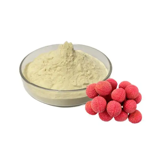 100% Natural Lychee Powder Lychee Juice Powder lychee fruit powder