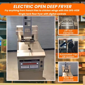 Limited Offer <strong>Hadrons</strong> Cold Zone Cooking Oil Filter Machine Deep Fryer Simple Operation Automatic Gas Lift Fryer With Low Price - Product Image 4
