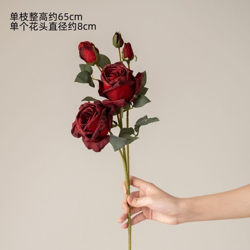 Une grande rose Sina rouge à 5 têtes