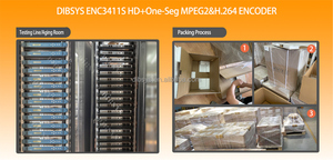 MPEG2 H.264 1080i HD dtv encoder sdi to ip encoder supporto Oneseg per il Giappone Brasile cile - Product Image 5