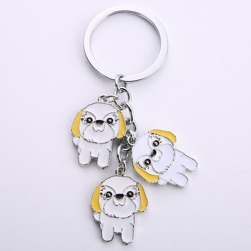 Shih-tzu
