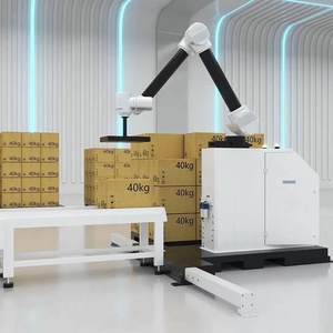 Braccio 6 assi Robot Max carico 30KG 40KG collaborativo robotizzato automatico carico e scarico Palletizer
