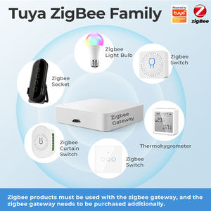 Tuya16Aパワーモニター2ウェイタイミングジグビーコントローラーDIYAPPミニスマートジグビースイッチforAlexa Google Home - Product Image 2