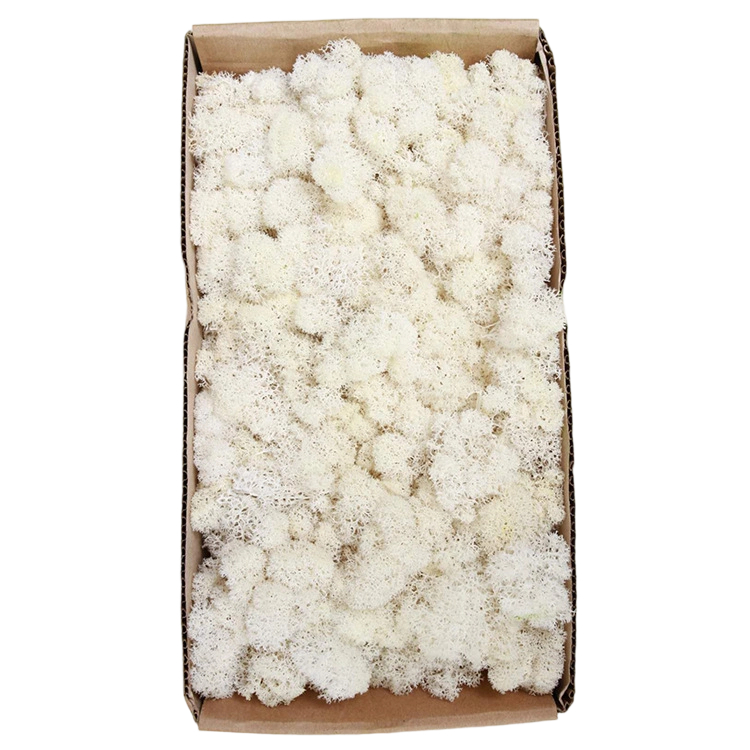 Pure White 500g