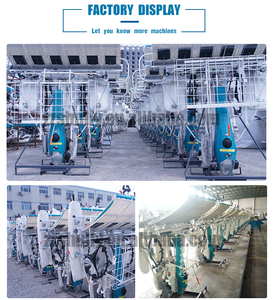 เครื่องปลูกข้าว8แถว,ที่เพาะเมล็ดและที่ปลูกข้าวสำหรับรถแทรกเตอร์คนเดิน - Product Image 5