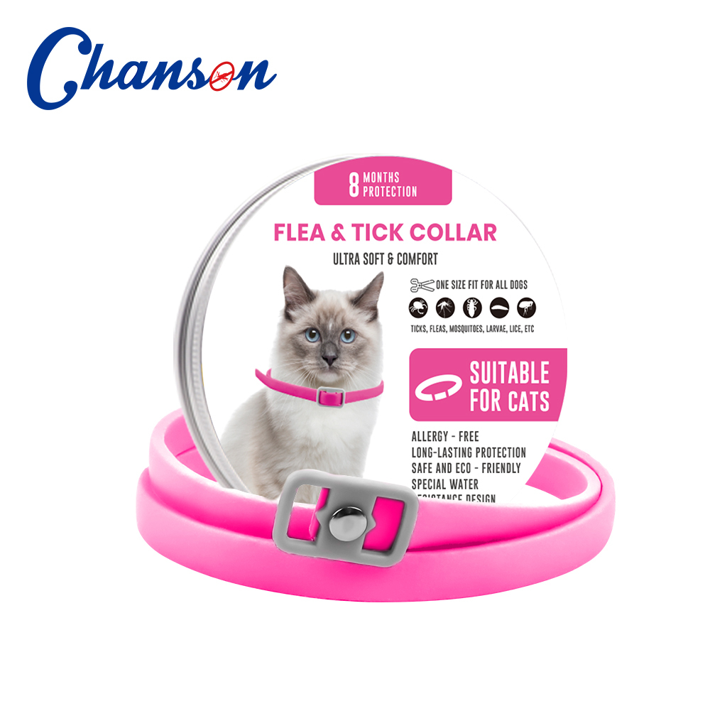 Pink Cat