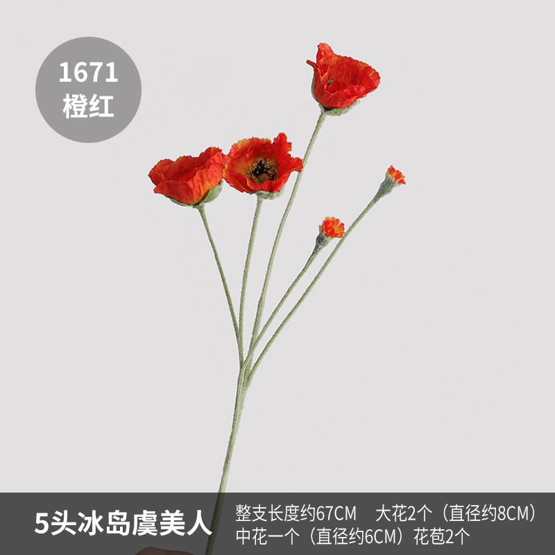 1671 orange red