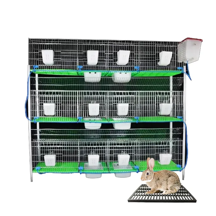 Cage industrielle commerciale d'élevage de lapins à bon prix 12 cellules à vendre