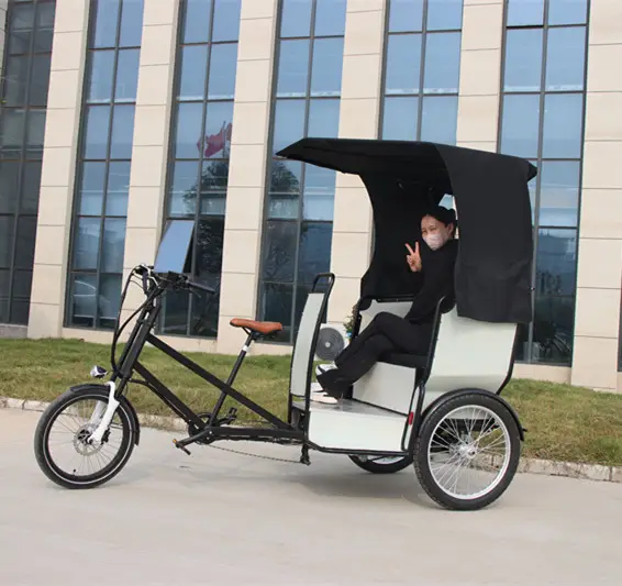 新しいスタイルのペディカブグッズキャリア三輪人力車