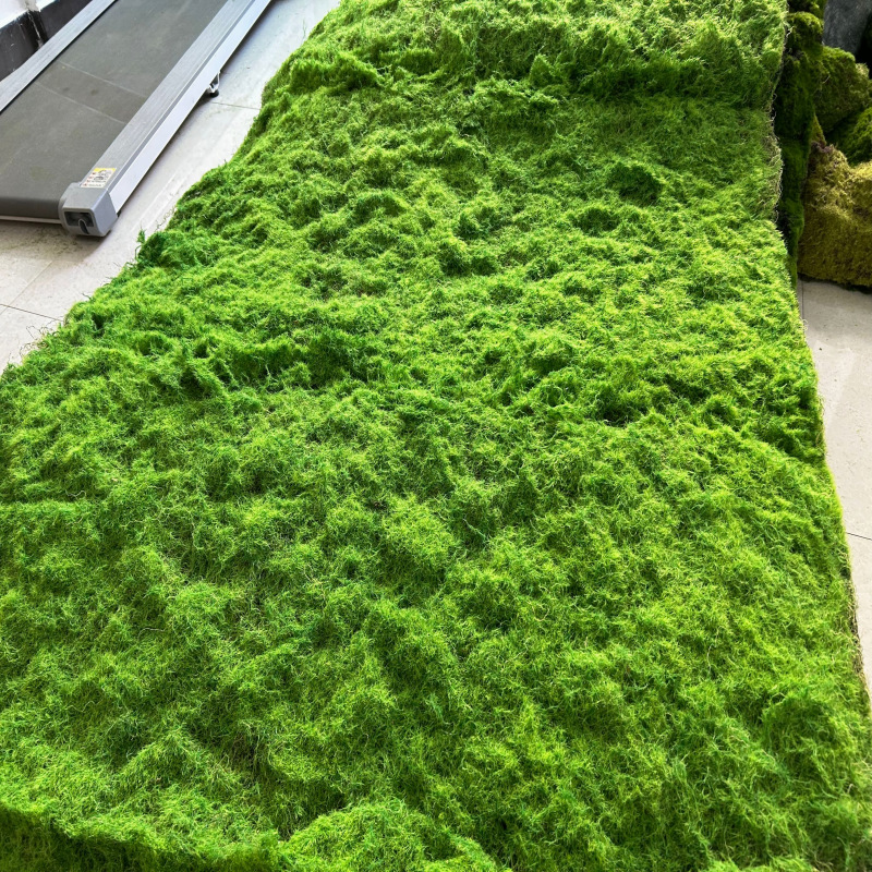 Vert-015