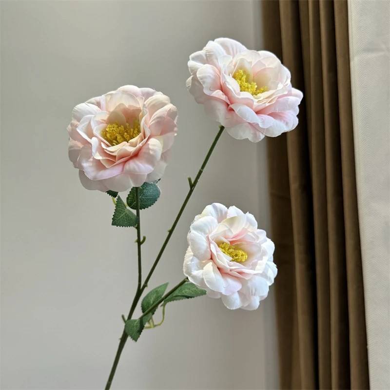 #2สีชมพู