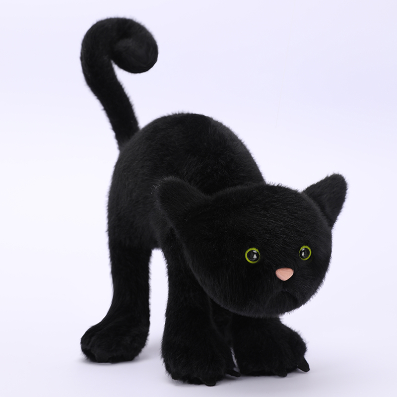 Chat 20cm