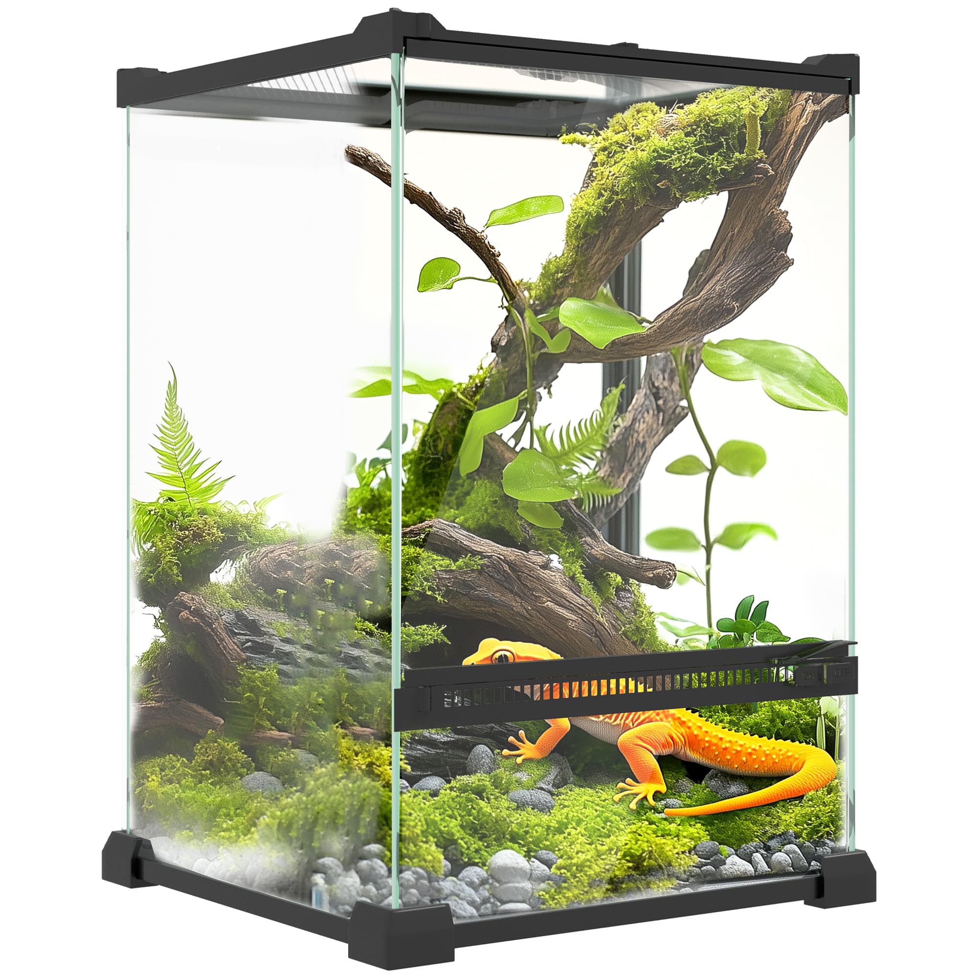 Terrarium