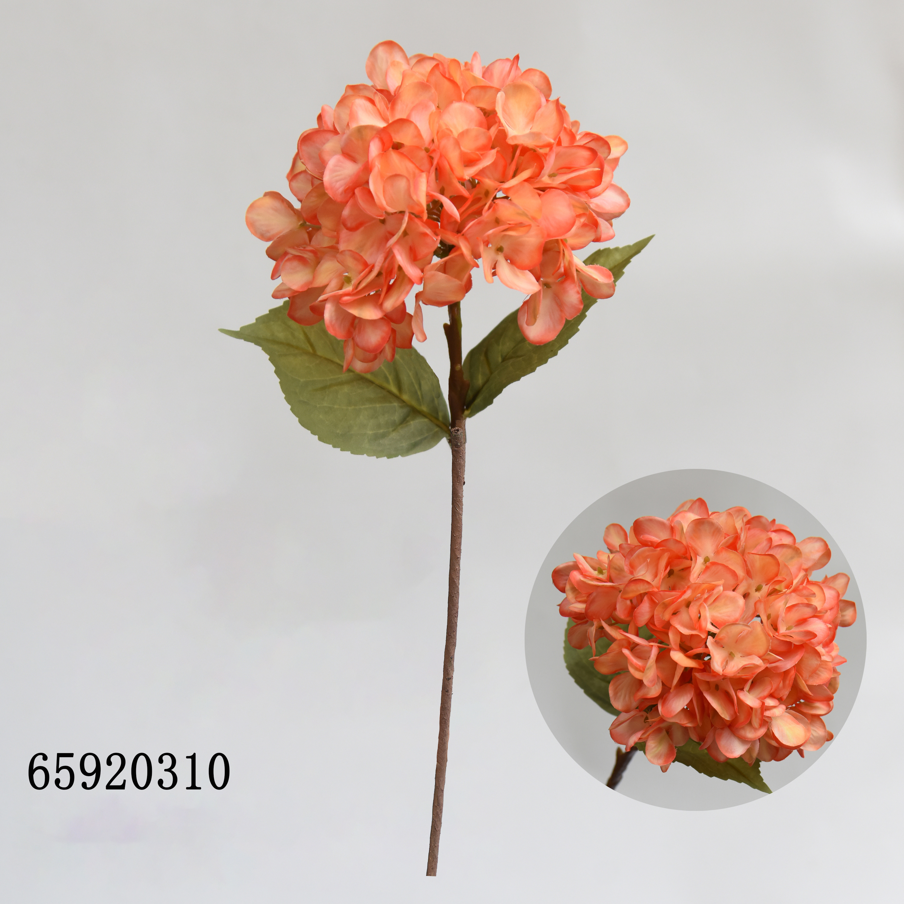 Orange310