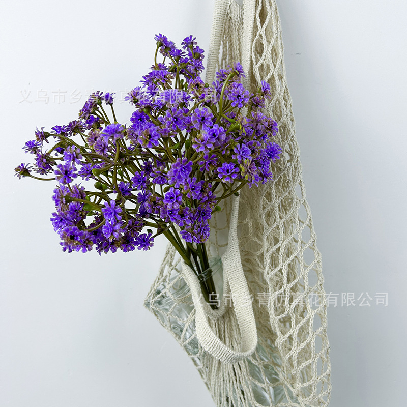 Bouquet de gypsophile violet