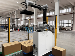 Robot automatico che impacchetta il sistema di applicazione del Robot che lavora l'impilamento del Robot - Product Image 6