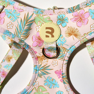 Sunraymascota Arneses Para Mascotas Arnés para perros Fabricantes Personalizado Arnés para perros Floral Arnés para perros de lujo - Product Image 5