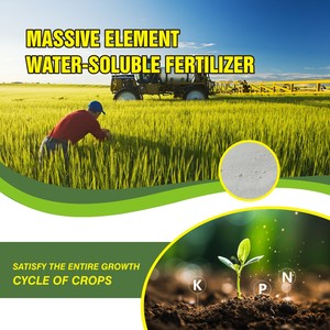 NPK NPK hợp chất phân bón pupuk NPK 20 20 20 thử nghiệm de NPK lớn yếu tố hòa tan trong nước phân bón - Product Image 2