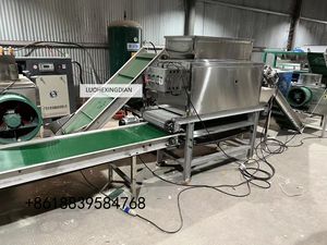 Otomatik tam Set sarımsak üretim hattı içerir sarımsak temizleme kırma soyma sıralama İşleme makinası - Product Image 4